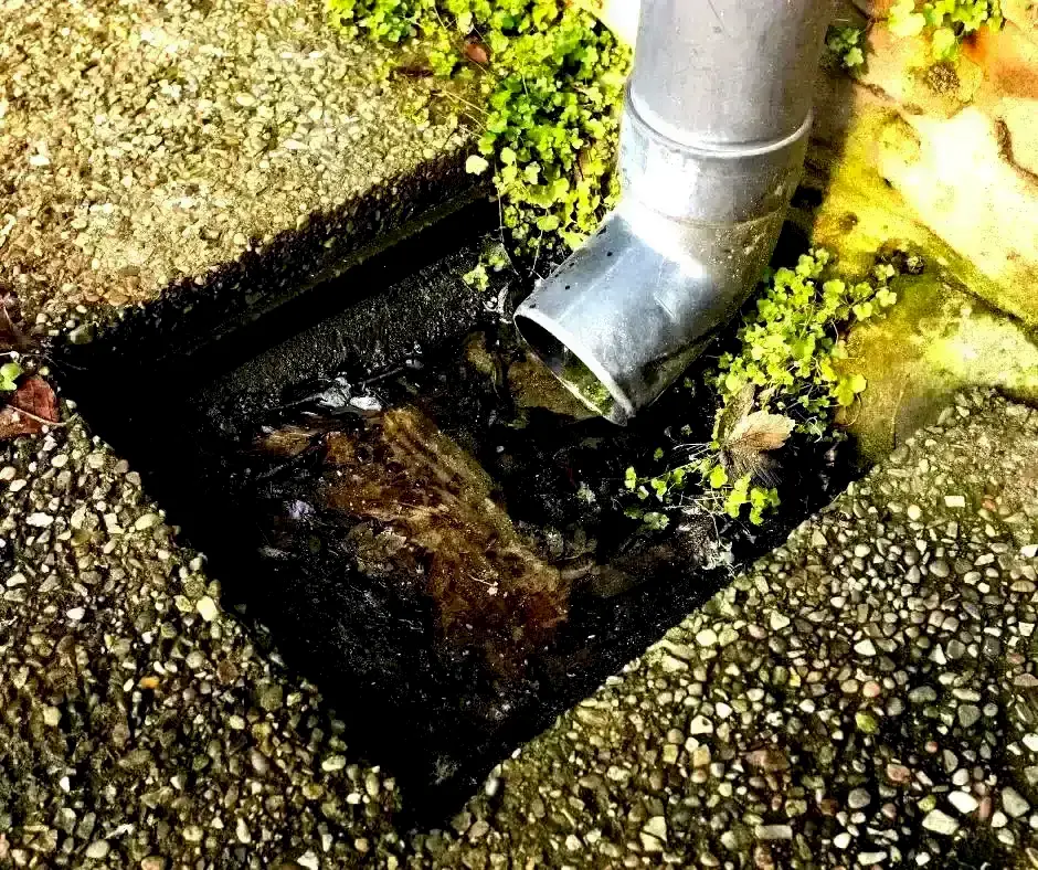 Detailed French Drain installation in Richmond, VA Detailed French Drain installation in Richmond, VA